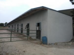 Horse Stable Concrete Render